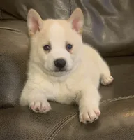 processed/8ea83dac-36b2-4ba8-8653-925064001fad/listing/14fd8cab-7ad8-400c-9dbf-28b773325b7d/95b31349-3f3d-4c57-898d-4882082750fb