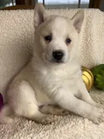 processed/8ea83dac-36b2-4ba8-8653-925064001fad/listing/14fd8cab-7ad8-400c-9dbf-28b773325b7d/e9355864-4396-45d3-ac40-fa43c4d9cad6