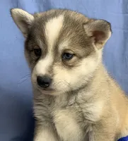 processed/8ea83dac-36b2-4ba8-8653-925064001fad/listing/2c0399e9-e6dd-483b-af47-eaf323f6e61f/4aa40bef-eac1-4500-8de8-65fc7b8c9bbd