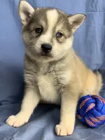 processed/8ea83dac-36b2-4ba8-8653-925064001fad/listing/2c0399e9-e6dd-483b-af47-eaf323f6e61f/6176b1f9-0181-4aec-b8ad-4b1afa503667