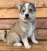 processed/8ea83dac-36b2-4ba8-8653-925064001fad/listing/2c0399e9-e6dd-483b-af47-eaf323f6e61f/6774c793-1173-47b0-ae25-6898e7716a78