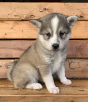 processed/8ea83dac-36b2-4ba8-8653-925064001fad/listing/2c0399e9-e6dd-483b-af47-eaf323f6e61f/6b7cd7b2-7e93-4463-8b40-d2c62a6ce65c