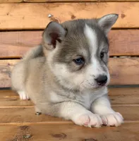 processed/8ea83dac-36b2-4ba8-8653-925064001fad/listing/2c0399e9-e6dd-483b-af47-eaf323f6e61f/6d852775-9487-4d4a-8993-ed2e6682b148