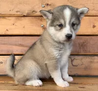 processed/8ea83dac-36b2-4ba8-8653-925064001fad/listing/2c0399e9-e6dd-483b-af47-eaf323f6e61f/76470400-b578-48e8-8b07-007b6a34417a