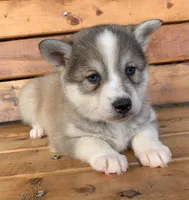 processed/8ea83dac-36b2-4ba8-8653-925064001fad/listing/2c0399e9-e6dd-483b-af47-eaf323f6e61f/b2adc9c9-2e0d-481f-9577-c59fa3b8ff1d