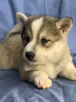 processed/8ea83dac-36b2-4ba8-8653-925064001fad/listing/2c0399e9-e6dd-483b-af47-eaf323f6e61f/edec445b-45ef-4ab7-84ae-4989ce37c64d