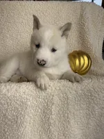 processed/8ea83dac-36b2-4ba8-8653-925064001fad/listing/2edb6c98-622c-4e33-96c2-ec33e5e3d597/5f84ebb5-292c-428c-98a1-f5b33eaa6ca1