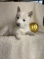 processed/8ea83dac-36b2-4ba8-8653-925064001fad/listing/2edb6c98-622c-4e33-96c2-ec33e5e3d597/971894a7-6fb7-4e92-9efd-1fedee350512