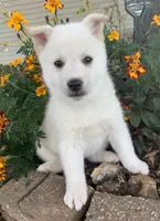 processed/8ea83dac-36b2-4ba8-8653-925064001fad/listing/3150573c-255e-4cf0-bd71-f99d3b249a80/4920d42c-e699-4a45-aa95-f1dd2c3d3724