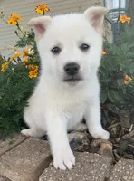 processed/8ea83dac-36b2-4ba8-8653-925064001fad/listing/3150573c-255e-4cf0-bd71-f99d3b249a80/50f89b2c-6b5f-4627-b1e6-7e6b015209b1