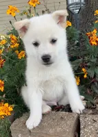 processed/8ea83dac-36b2-4ba8-8653-925064001fad/listing/3150573c-255e-4cf0-bd71-f99d3b249a80/6e2f5fc0-555d-44b2-87b7-cd6ea4ad96a2