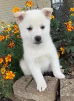 processed/8ea83dac-36b2-4ba8-8653-925064001fad/listing/3150573c-255e-4cf0-bd71-f99d3b249a80/87c94354-30b3-4803-9256-bdfc9ee60a0e