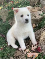 processed/8ea83dac-36b2-4ba8-8653-925064001fad/listing/3150573c-255e-4cf0-bd71-f99d3b249a80/c4d922fd-cca0-4111-901f-9c2993f7335a