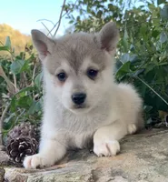 processed/8ea83dac-36b2-4ba8-8653-925064001fad/listing/55653ccb-7fdc-4550-9451-f762cf6d010f/01bbf4ca-a32d-4f83-9de6-a760363acc68