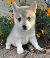 processed/8ea83dac-36b2-4ba8-8653-925064001fad/listing/55653ccb-7fdc-4550-9451-f762cf6d010f/0a4b42ea-8bf6-4d2c-87f9-deb593a2f970