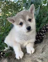 processed/8ea83dac-36b2-4ba8-8653-925064001fad/listing/55653ccb-7fdc-4550-9451-f762cf6d010f/34fdfc96-a870-43d4-94ba-6fabcd95cbd9