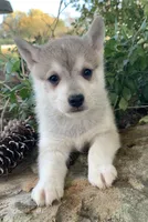 processed/8ea83dac-36b2-4ba8-8653-925064001fad/listing/55653ccb-7fdc-4550-9451-f762cf6d010f/542878a6-8a65-4c13-94b1-25d6293f0f7c