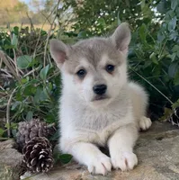 processed/8ea83dac-36b2-4ba8-8653-925064001fad/listing/55653ccb-7fdc-4550-9451-f762cf6d010f/bb908ed0-4155-4e2f-89c9-2ee0d405629c