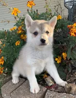 processed/8ea83dac-36b2-4ba8-8653-925064001fad/listing/55653ccb-7fdc-4550-9451-f762cf6d010f/fd3a985d-ca9f-4fbf-94b8-7f37fbe302c8