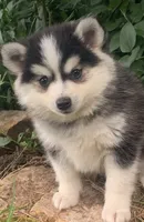 processed/8ea83dac-36b2-4ba8-8653-925064001fad/listing/84b1696f-3057-4bf4-b010-206463bcedf4/0df1baf4-a03c-4cb0-a627-c45455004724