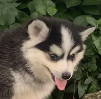 processed/8ea83dac-36b2-4ba8-8653-925064001fad/listing/84b1696f-3057-4bf4-b010-206463bcedf4/12035767-7cf2-4fe8-8c5a-c1eac19f5960