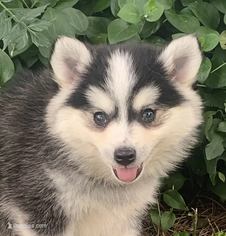 Fun Little Tucker~!!!