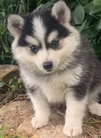 processed/8ea83dac-36b2-4ba8-8653-925064001fad/listing/84b1696f-3057-4bf4-b010-206463bcedf4/bfdce210-aadd-428f-ba17-3cf8144244bc