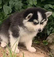 processed/8ea83dac-36b2-4ba8-8653-925064001fad/listing/84b1696f-3057-4bf4-b010-206463bcedf4/ed8e8e37-b7a3-4877-ba40-a198ebddf0e2