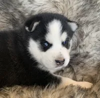 processed/8ea83dac-36b2-4ba8-8653-925064001fad/listing/a0a8bdf2-1199-43a3-a548-c406d1be4f98/0bbeb6da-66b2-47b0-98c4-2f26fb2435fd