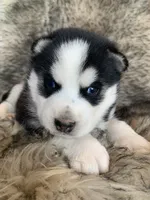 processed/8ea83dac-36b2-4ba8-8653-925064001fad/listing/a0a8bdf2-1199-43a3-a548-c406d1be4f98/514c5b38-054f-4dd0-91cf-451e2f72a63e