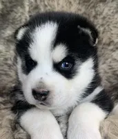 processed/8ea83dac-36b2-4ba8-8653-925064001fad/listing/a0a8bdf2-1199-43a3-a548-c406d1be4f98/6fd21569-4e24-48d4-a3d0-b4df44e1697c