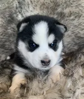 processed/8ea83dac-36b2-4ba8-8653-925064001fad/listing/a0a8bdf2-1199-43a3-a548-c406d1be4f98/ade966c7-80d6-4129-9219-3dfedba432f3