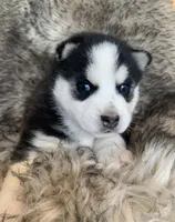 processed/8ea83dac-36b2-4ba8-8653-925064001fad/listing/a0a8bdf2-1199-43a3-a548-c406d1be4f98/ccbe526c-a573-4d42-81c1-17b047e02c98