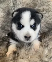 processed/8ea83dac-36b2-4ba8-8653-925064001fad/listing/a0a8bdf2-1199-43a3-a548-c406d1be4f98/df7e1446-1108-42a1-8214-3219d9db8002