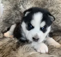 processed/8ea83dac-36b2-4ba8-8653-925064001fad/listing/a0a8bdf2-1199-43a3-a548-c406d1be4f98/f4a10c06-80da-45ed-b15d-aef24d98b26c