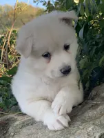 processed/8ea83dac-36b2-4ba8-8653-925064001fad/listing/c17cd904-60f3-4495-9519-f05881d02dba/53e12302-6de1-4800-ada9-5b12a861ad88