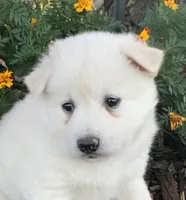 processed/8ea83dac-36b2-4ba8-8653-925064001fad/listing/c17cd904-60f3-4495-9519-f05881d02dba/adeb9146-04e8-457f-89e2-6ed22139785a