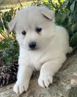 processed/8ea83dac-36b2-4ba8-8653-925064001fad/listing/c17cd904-60f3-4495-9519-f05881d02dba/dba0f825-da61-41f7-8bd5-4dfb0cbec265