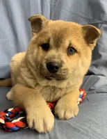 processed/8ea83dac-36b2-4ba8-8653-925064001fad/listing/c484e8a9-d0a3-4f2c-9ac2-019baebc8d3e/0ffb6bab-c49d-4077-8fce-24a95cabf9fd