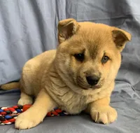 processed/8ea83dac-36b2-4ba8-8653-925064001fad/listing/c484e8a9-d0a3-4f2c-9ac2-019baebc8d3e/2eb7d82d-7332-4399-80f4-cf0b4e9d023c