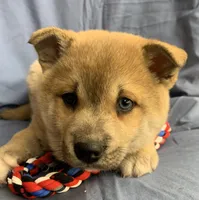 processed/8ea83dac-36b2-4ba8-8653-925064001fad/listing/c484e8a9-d0a3-4f2c-9ac2-019baebc8d3e/490b7747-c30a-414f-af11-86386ab16753