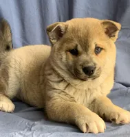 processed/8ea83dac-36b2-4ba8-8653-925064001fad/listing/c484e8a9-d0a3-4f2c-9ac2-019baebc8d3e/6af26e1c-cc72-4129-994e-897b6575953e