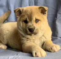 processed/8ea83dac-36b2-4ba8-8653-925064001fad/listing/c484e8a9-d0a3-4f2c-9ac2-019baebc8d3e/8c854f14-c8fd-4c26-b21d-06dce39c8a67