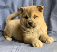 processed/8ea83dac-36b2-4ba8-8653-925064001fad/listing/c484e8a9-d0a3-4f2c-9ac2-019baebc8d3e/aee3d98e-193c-4d44-a559-0b2ea1fb2c82