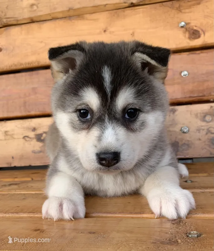 Beautiful Girl ~~ NYMERIA ~!!!