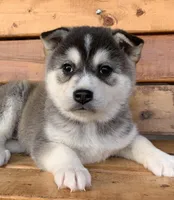 processed/8ea83dac-36b2-4ba8-8653-925064001fad/listing/d3832b05-1292-4025-b86e-662fc8ce6511/1e9bc45f-3127-4782-aa76-b8d70c50b482