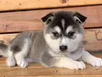 processed/8ea83dac-36b2-4ba8-8653-925064001fad/listing/d3832b05-1292-4025-b86e-662fc8ce6511/928828ec-69dd-4191-899a-3fb571c07073