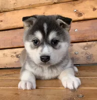 processed/8ea83dac-36b2-4ba8-8653-925064001fad/listing/d3832b05-1292-4025-b86e-662fc8ce6511/aa305190-5900-4d59-8b6e-0215e711001b