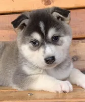 processed/8ea83dac-36b2-4ba8-8653-925064001fad/listing/d3832b05-1292-4025-b86e-662fc8ce6511/b73a8cd8-30ba-4bf5-927e-eea38d75a20f