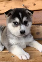 processed/8ea83dac-36b2-4ba8-8653-925064001fad/listing/d3832b05-1292-4025-b86e-662fc8ce6511/eb435be5-4bfd-4cbd-8041-ea8a86dc85fb